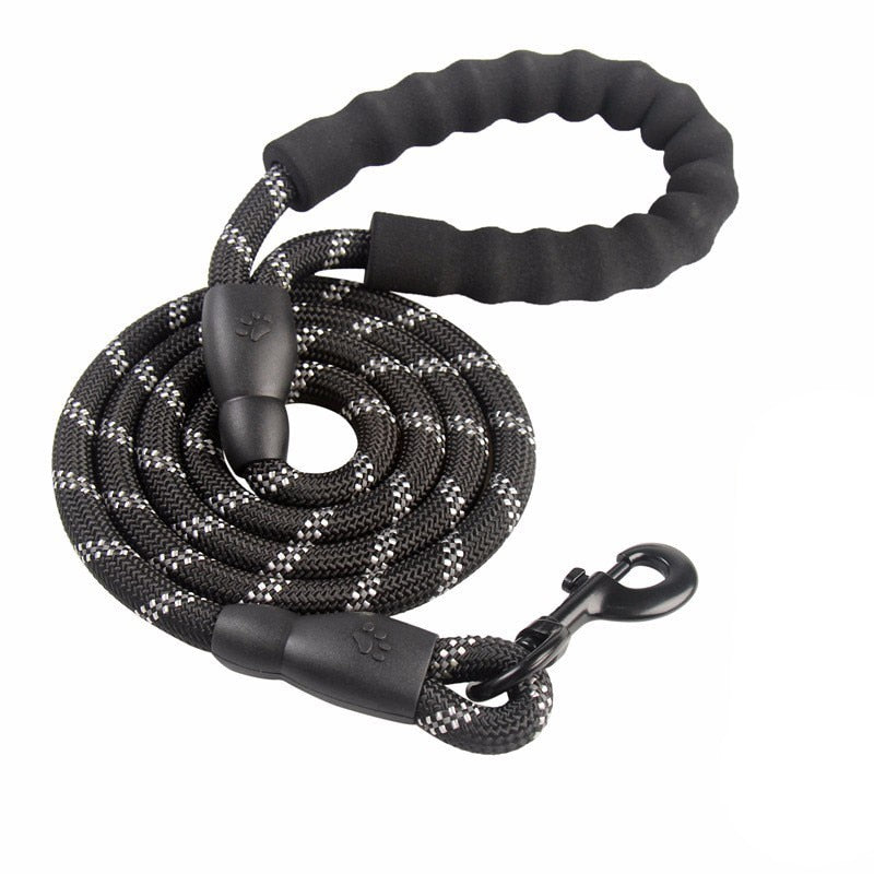 Reflective Leash Large to Medium Sized Dog