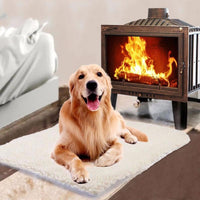 Thumbnail for Heating Pet Bed