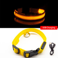 Thumbnail for USB Charging Led Dog Collar