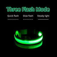 Thumbnail for USB Charging Led Dog Collar