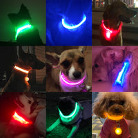 Thumbnail for USB Charging Led Dog Collar