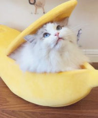 Thumbnail for Banana Cat Bed