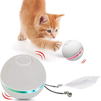 Thumbnail for Colorful Electric LED Cat Toy