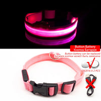 Thumbnail for USB Charging Led Dog Collar