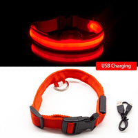 Thumbnail for USB Charging Led Dog Collar