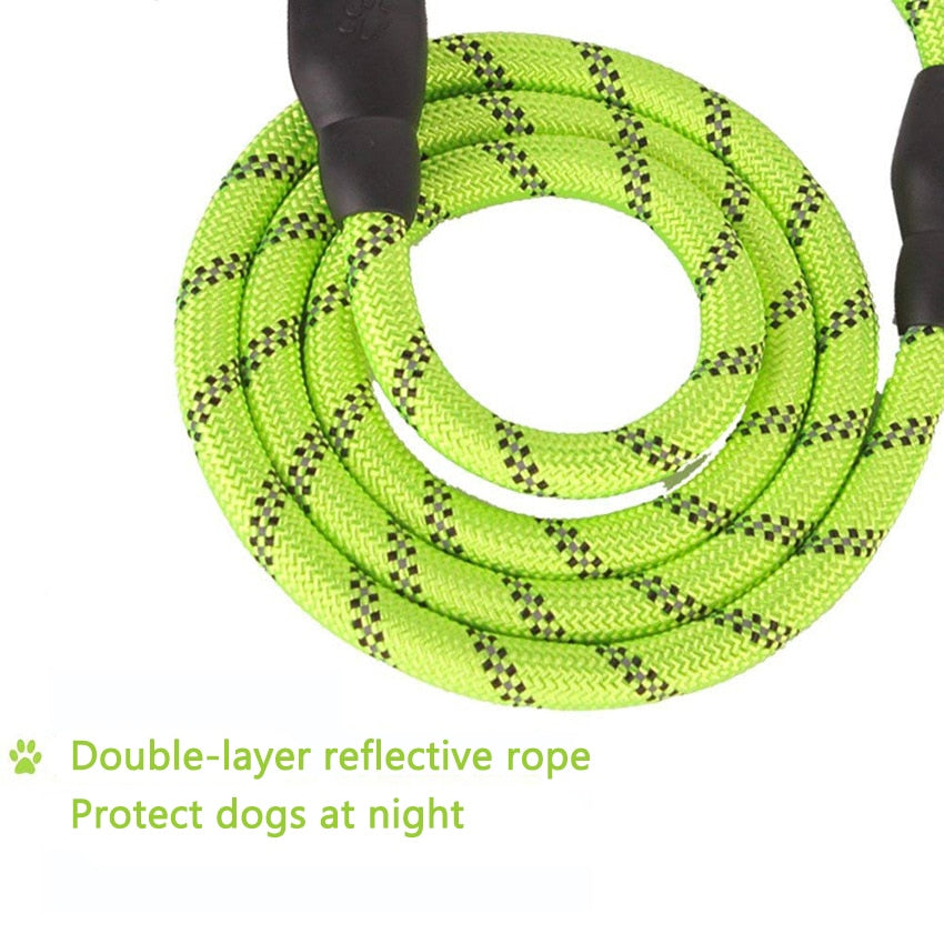 Reflective Leash Large to Medium Sized Dog