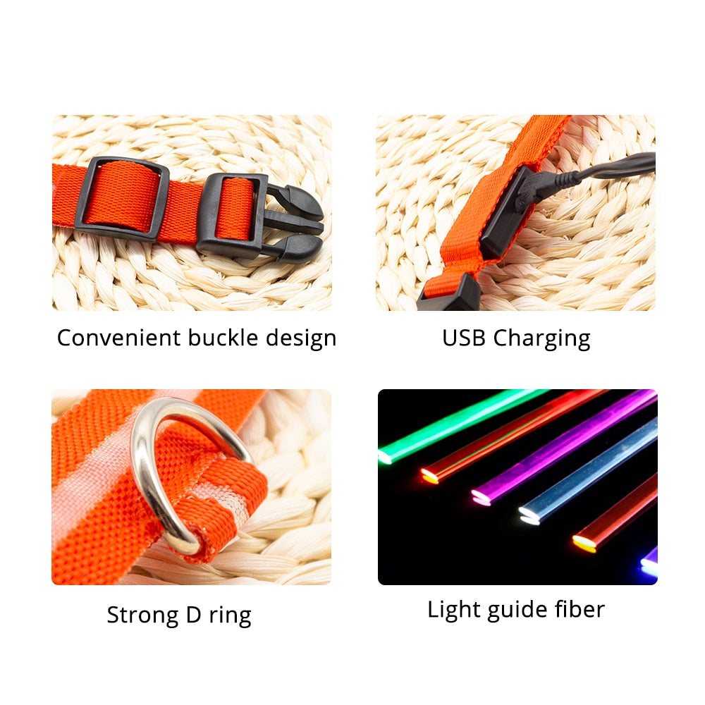 USB Charging Led Dog Collar