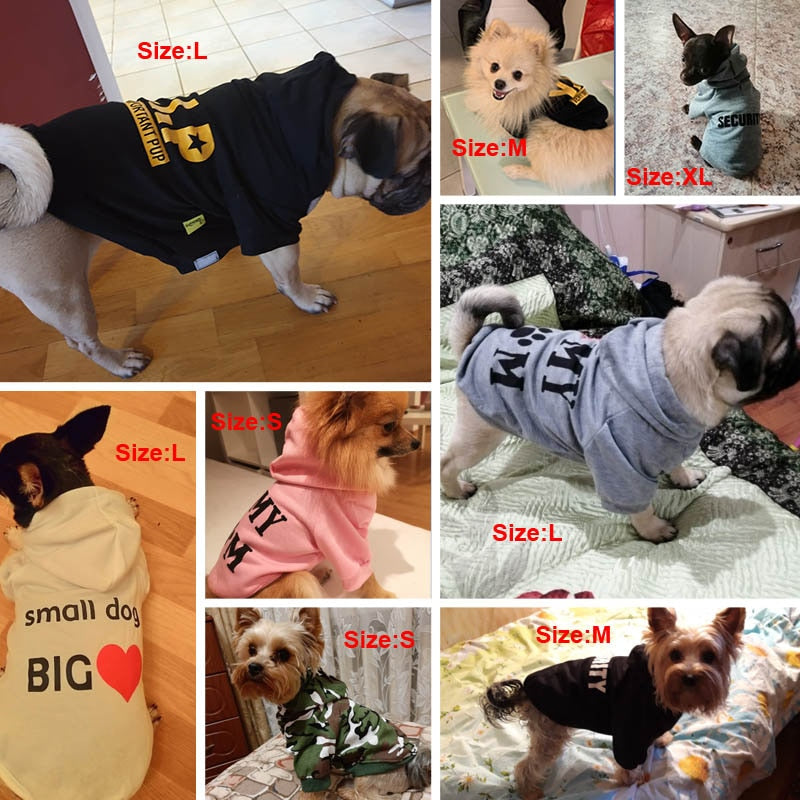 Dog Hoodies