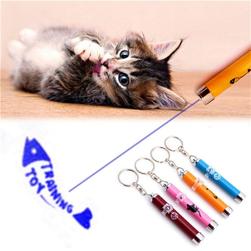 Cat Laser LED Pointer