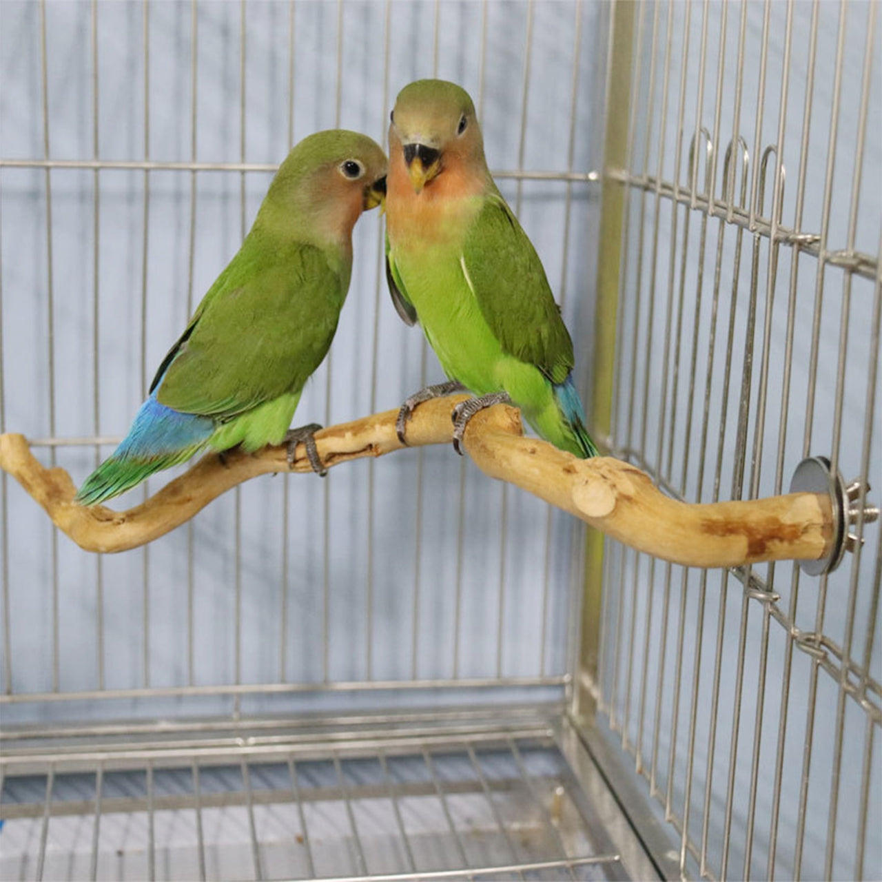 Pet Parrot Bird Standing Stick Wood Pole Parrot Toy Bird Cockatiel Parakeet Perches Bite Claw Grinding Toy Bird Cage Accessorie