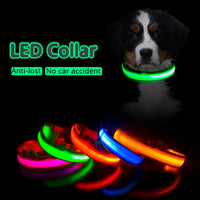 Thumbnail for USB Charging Led Dog Collar