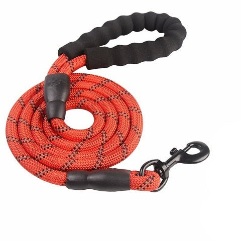 Reflective Leash Large to Medium Sized Dog